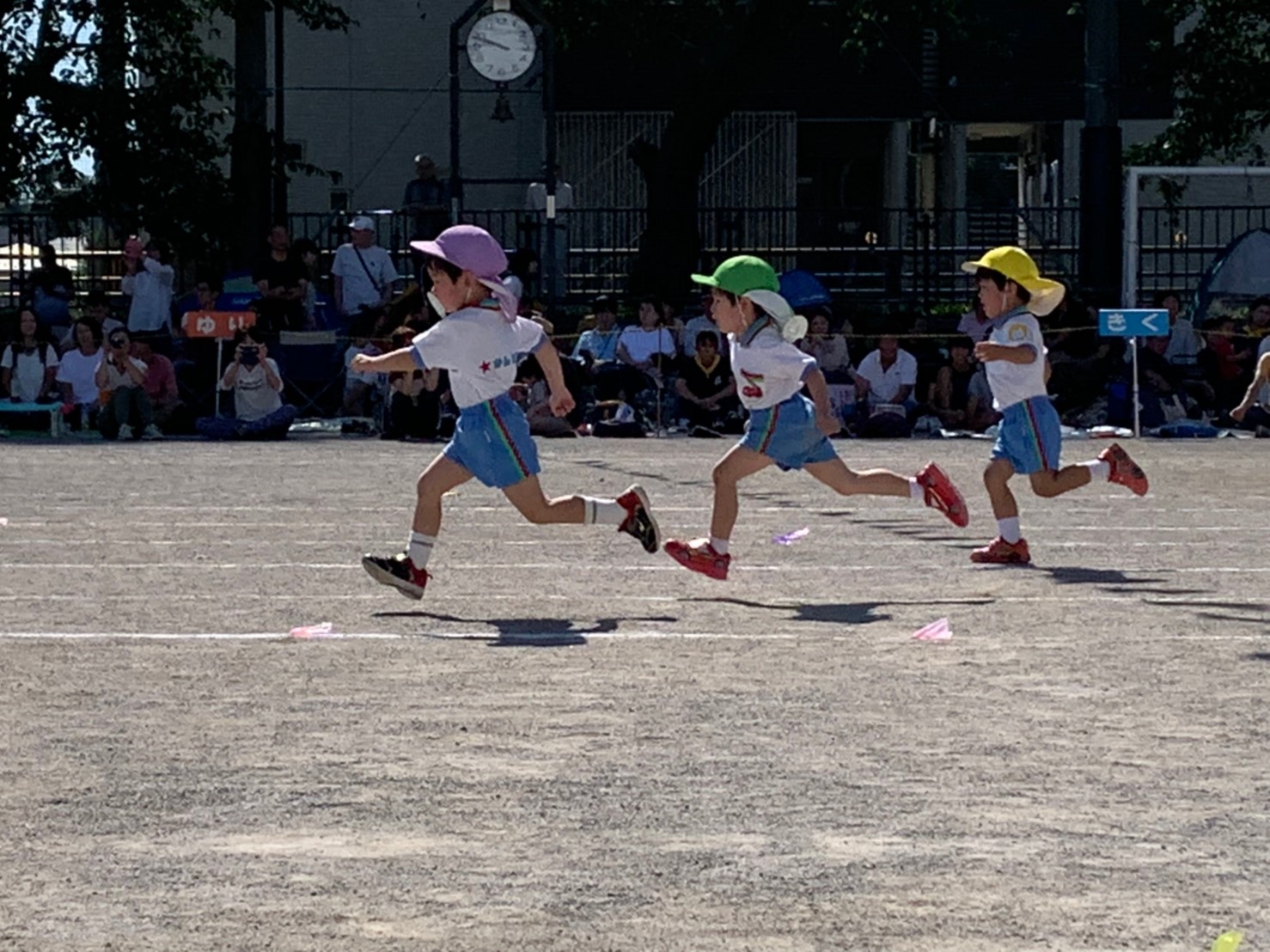 孫の運動会でかけっこをする様子のサムネイル